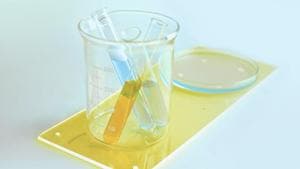 Natural immunity might hold up better than these first studies suggest. (Representational Image)(Unsplash) Natural immunity might hold up better than these first studies suggest. (Representational Image)(Unsplash)