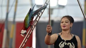 Circus Artists performing with birds during the special show of Asiad Circus at Shastri Park in New Delhi.(Sanchit Khanna/HT PHOTO) Circus Artists performing with birds during the special show of Asiad Circus at Shastri Park in New Delhi.(Sanchit Khanna/HT PHOTO)