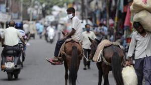 An Indian worker wearing face mask as a precaution against the coronavirus rides a horse in Jammu, India.(AP) An Indian worker wearing face mask as a precaution against the coronavirus rides a horse in Jammu, India.(AP)