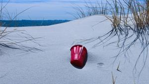 If no action is taken, however, the amount of plastic going into the sea every year will rise from 11 million tonnes to 29 million tonnes. (Representational Image)(Unsplash) If no action is taken, however, the amount of plastic going into the sea every year will rise from 11 million tonnes to 29 million tonnes. (Representational Image)(Unsplash)