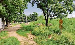 Wild grass and mounds of construction debris greet residents entering Sector 33 from the Sector 32/33 light point in Chandigarh.(HT PHOTO) Wild grass and mounds of construction debris greet residents entering Sector 33 from the Sector 32/33 light point in Chandigarh.(HT PHOTO)