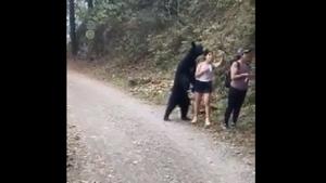 An online petition at Change.org has gotten over 135,000 signatures against relocating the bear outside the park or to a zoo.(Twitter) An online petition at Change.org has gotten over 135,000 signatures against relocating the bear outside the park or to a zoo.(Twitter)
