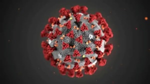According to the researchers, deciphering the 3D structure of nsp16 paves the way for the design of new drugs against the novel coronavirus SARS-CoV-2, and other emerging coronavirus infections.(File Photo) According to the researchers, deciphering the 3D structure of nsp16 paves the way for the design of new drugs against the novel coronavirus SARS-CoV-2, and other emerging coronavirus infections.(File Photo)