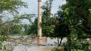 Ashokan Pillar flooded at Lauria in West Champaran, Bihar(HT Photos) Ashokan Pillar flooded at Lauria in West Champaran, Bihar(HT Photos)