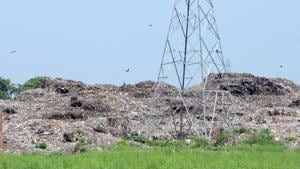 The garbage dump near Ghalori gate in Patiala on Sunday.(Bharat Bhushan/HT) The garbage dump near Ghalori gate in Patiala on Sunday.(Bharat Bhushan/HT)