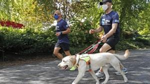 Thomas Panek, right, runs with guide dog Blaze and Mike Racioppo, a training specialist for running guide dogs, Thursday, July 23, 2020, in Central Park in New York. Panek, a blind runner with a wall full of ribbons from marathons he ran with a human guide, developed a canine running guide training program five years ago after becoming president and CEO of Guiding Eyes for the Blind in suburban New York. (AP Photo/Kathy Willens) Thomas Panek, right, runs with guide dog Blaze and Mike Racioppo, a training specialist for running guide dogs, Thursday, July 23, 2020, in Central Park in New York. Panek, a blind runner with a wall full of ribbons from marathons he ran with a human guide, developed a canine running guide training program five years ago after becoming president and CEO of Guiding Eyes for the Blind in suburban New York. (AP Photo/Kathy Willens)