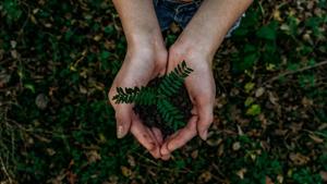 The main objective is to be live and promote conscious, mindful living.(Unsplash) The main objective is to be live and promote conscious, mindful living.(Unsplash)