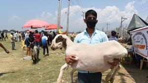 A man carries a sheep at a makeshift market ahead of Eid al-Ajha festival, in Srinagar, Jammu and Kashmir, on Monday, July 27, 2020.(Waseem Andrabi / HT Photo) A man carries a sheep at a makeshift market ahead of Eid al-Ajha festival, in Srinagar, Jammu and Kashmir, on Monday, July 27, 2020.(Waseem Andrabi / HT Photo)