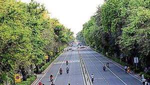 Environmental activists and experts say that despite a 2013 National Green Tribunal (NGT) order placing a ban on construction anywhere within a one-metre radius of a tree trunk, such activities continue.(HT photo) Environmental activists and experts say that despite a 2013 National Green Tribunal (NGT) order placing a ban on construction anywhere within a one-metre radius of a tree trunk, such activities continue.(HT photo)