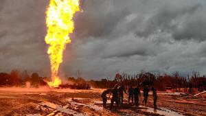 The burnt-out area is mapped as 65-70 hectares, which include crop fields, grasslands, and swamps.(ANI) The burnt-out area is mapped as 65-70 hectares, which include crop fields, grasslands, and swamps.(ANI)