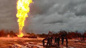The burnt-out area is mapped as 65-70 hectares, which include crop fields, grasslands, and swamps.(ANI) The burnt-out area is mapped as 65-70 hectares, which include crop fields, grasslands, and swamps.(ANI)