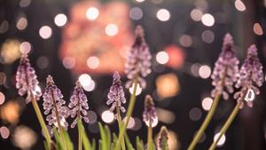 Representational Image(Unsplash) Representational Image(Unsplash)