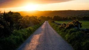 Aberdeen officials published a list of 28 bars and restaurants, three golf clubs and a soccer club visited by about 200 people so far traced from the cluster. (Representational Image)(Unsplash) Aberdeen officials published a list of 28 bars and restaurants, three golf clubs and a soccer club visited by about 200 people so far traced from the cluster. (Representational Image)(Unsplash)