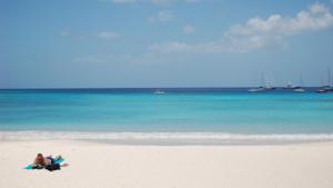 Interest in “digital nomadism” is set to spike in coming years as Covid-19 boosts remote working. (Representational Image)(Unsplash) Interest in “digital nomadism” is set to spike in coming years as Covid-19 boosts remote working. (Representational Image)(Unsplash)