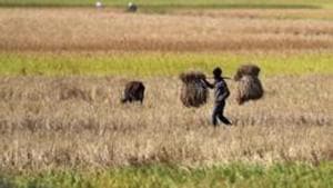 The 15 Finance Commission incentives will be linked to two recent ordinances passed by the Narendra Modi government to liberalise agricultural markets and boost private investments.(AP file photo) The 15 Finance Commission incentives will be linked to two recent ordinances passed by the Narendra Modi government to liberalise agricultural markets and boost private investments.(AP file photo)