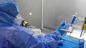 A health personnel processes coronavirus disease (COVID-19) tests in a lab at the Government Medical College in Kochi, Kerala.(REUTERS File) A health personnel processes coronavirus disease (COVID-19) tests in a lab at the Government Medical College in Kochi, Kerala.(REUTERS File)