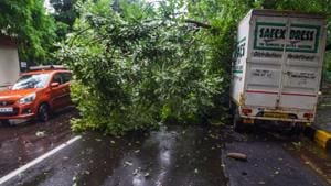 A tree falls on a truck due to strong winds and rains at Kopar Khairane in Navi Mumbai.(PTI) A tree falls on a truck due to strong winds and rains at Kopar Khairane in Navi Mumbai.(PTI)