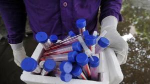 The target was set after the state hiked the testing capacity in its government institutions from 9,000 to 12,000 tests per day.(HT file) The target was set after the state hiked the testing capacity in its government institutions from 9,000 to 12,000 tests per day.(HT file)