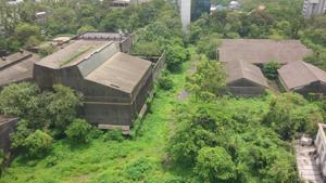 A forest official said the leopard was released back into Sanjay Gandhi National Park (SGNP).(HT Photo) A forest official said the leopard was released back into Sanjay Gandhi National Park (SGNP).(HT Photo)