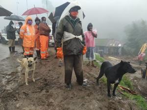 The dogs are seen at the landslide spot in Rajamalai of Kerala’s Idukki district where at least 45 people have died and 28 are still missing.(HT Photo) The dogs are seen at the landslide spot in Rajamalai of Kerala’s Idukki district where at least 45 people have died and 28 are still missing.(HT Photo)