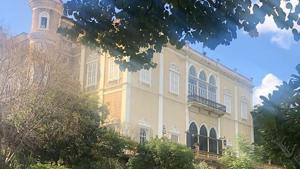 Several heritage buildings, traditional Lebanese homes, museums and art galleries have also sustained various degrees of damage.(Sursock Palace/Instagram) Several heritage buildings, traditional Lebanese homes, museums and art galleries have also sustained various degrees of damage.(Sursock Palace/Instagram)