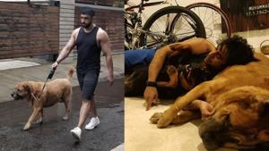 Amit Sadh with his pet Liam. Amit Sadh with his pet Liam.