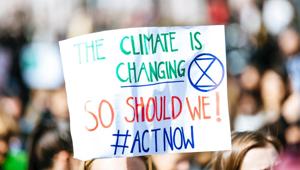 Archana Soreng said indigenous communities were already among those hardest hit by worsening climate-related threats and problems, from extreme weather to deforestation. (Representational Image)(Unsplash) Archana Soreng said indigenous communities were already among those hardest hit by worsening climate-related threats and problems, from extreme weather to deforestation. (Representational Image)(Unsplash)