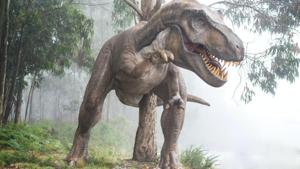 The bones of a new species of theropod dinosaur, the group that includes Tyrannosaurus rex have been found in England. (Representational Image)(Unsplash) The bones of a new species of theropod dinosaur, the group that includes Tyrannosaurus rex have been found in England. (Representational Image)(Unsplash)