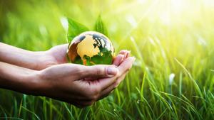 Environmental experts, politicians, and civil society have argued that it neglects the balance between development and environment protection(Shutterstock) Environmental experts, politicians, and civil society have argued that it neglects the balance between development and environment protection(Shutterstock)