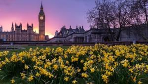 Mandatory quarantine has been reissued in Britain for visitors from some countries. (Representational Image)(Unsplash) Mandatory quarantine has been reissued in Britain for visitors from some countries. (Representational Image)(Unsplash)