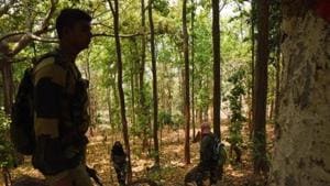 The Dantewada SP further informed that the surrendered maoists used to demolish railway tracks and kill Panchayat executives and villagers. Most of the others were ground level militia.(Arabinda Mahapatra/HT file photo. Representative image) The Dantewada SP further informed that the surrendered maoists used to demolish railway tracks and kill Panchayat executives and villagers. Most of the others were ground level militia.(Arabinda Mahapatra/HT file photo. Representative image)