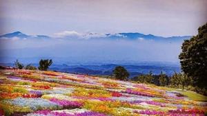 Visit the most scenic landscapes in India.(Instagram @perfect_capture25) Visit the most scenic landscapes in India.(Instagram @perfect_capture25)
