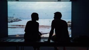 Representational Image(Unsplash) Representational Image(Unsplash)