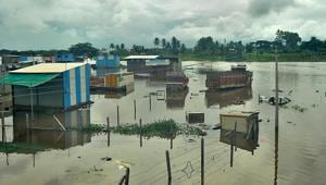 Submerged area on the bank side of Krishna river after heavy rain in catchment area of Koyana dam in Sangli on Tuesday.(Uday Deolekar/HT File Photo) Submerged area on the bank side of Krishna river after heavy rain in catchment area of Koyana dam in Sangli on Tuesday.(Uday Deolekar/HT File Photo)