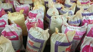 The accused were arrested while smuggling the cannabis from Kalahandi to West Bengal through a vehicle.(ANI photo) The accused were arrested while smuggling the cannabis from Kalahandi to West Bengal through a vehicle.(ANI photo)