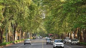 The longest stretch of trees, about 11km, was in north-east Delhi(Ravi Choudhary/ HT file photo) The longest stretch of trees, about 11km, was in north-east Delhi(Ravi Choudhary/ HT file photo)