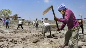 So far, 1,418 Gram Panchayats have prepared Village Development Plans (VDP) with 72,720 projects.(PTI File Photo) So far, 1,418 Gram Panchayats have prepared Village Development Plans (VDP) with 72,720 projects.(PTI File Photo)