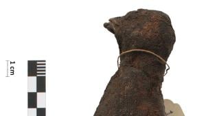 An ancient Egyptian mummy of a bird of prey is seen in this undated image released on August 20, 2020. Egypt Centre, Swansea University.(via REUTERS) An ancient Egyptian mummy of a bird of prey is seen in this undated image released on August 20, 2020. Egypt Centre, Swansea University.(via REUTERS)