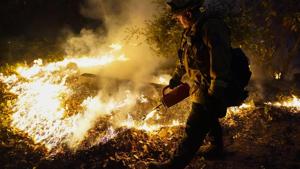 A firefighter monitors the advance of the the CZU August Lightning Complex Fire Friday.(AP Photo) A firefighter monitors the advance of the the CZU August Lightning Complex Fire Friday.(AP Photo)