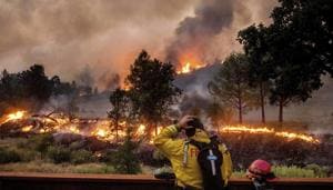 A firefighter rubs his head while watching the LNU Lightning Complex fires spread through the Berryessa Estates neighborhood of unincorporated Napa County, California.(AP Photo) A firefighter rubs his head while watching the LNU Lightning Complex fires spread through the Berryessa Estates neighborhood of unincorporated Napa County, California.(AP Photo)