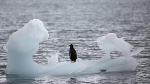 Describing the loss as “staggering”, scientists warn that the sea level rise could reach a metre by the end of the century.(Reuters) Describing the loss as “staggering”, scientists warn that the sea level rise could reach a metre by the end of the century.(Reuters)