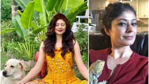 Pooja Batra posted a picture with a red bearded dragon. Pooja Batra posted a picture with a red bearded dragon.