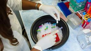 The pandemic has flooded hospitals with patients around the world, interrupting time-sensitive care for cancer and other conditions. (Representational Image)(Unsplash) The pandemic has flooded hospitals with patients around the world, interrupting time-sensitive care for cancer and other conditions. (Representational Image)(Unsplash)