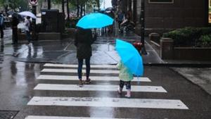Representational Image(Unsplash) Representational Image(Unsplash)