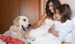 Dogs can be trained to give emotional comfort and support.(PHOTO: Shutterstock) Dogs can be trained to give emotional comfort and support.(PHOTO: Shutterstock)