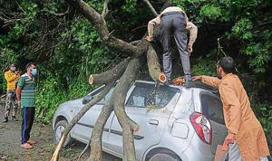 People removing an uprooted tree that fell on a parked vehicle due to heavy rainfall at Totu area in Shimla on Friday.(Deepak Sansta / HT)