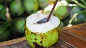 Coconut has zero wastage — the water can be fermented and made like kanji , for better shelf life the white part can be grated and frozen in batches, says chef Nishant Choubey.(Photo: Shutterstock) Coconut has zero wastage — the water can be fermented and made like kanji , for better shelf life the white part can be grated and frozen in batches, says chef Nishant Choubey.(Photo: Shutterstock)