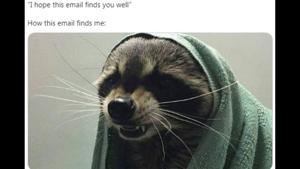 People are sharing all sorts of posts under “I hope this email finds you well” trend.(Twitter/@brooke_evee) People are sharing all sorts of posts under “I hope this email finds you well” trend.(Twitter/@brooke_evee)