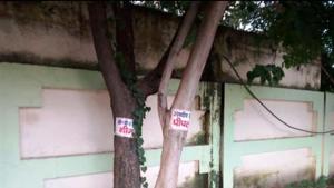 Two trees with information boards in Kaushambi.(HT photo) Two trees with information boards in Kaushambi.(HT photo)