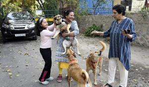 Residents of CR Park interact with the neighbourhood street dogs.(PHOTO: Biplov Bhuyan/HT) Residents of CR Park interact with the neighbourhood street dogs.(PHOTO: Biplov Bhuyan/HT)